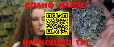 шишки Будённовск