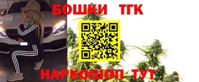 шишки Будённовск
