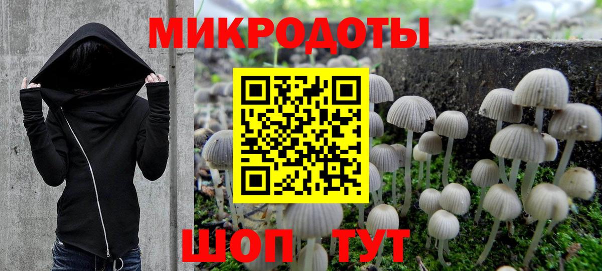 Псилоцибиновые грибы Psilocybine cubensis Раменское