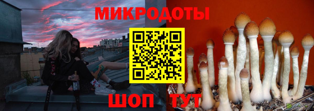 Раменское  Галлюциногенные грибы мицелий  Вход с VPN  Галлюциногенные грибы прущие грибы 